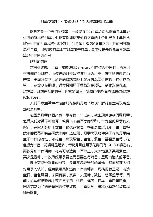 月季之欧月：带你认认12大绝美欧月品种