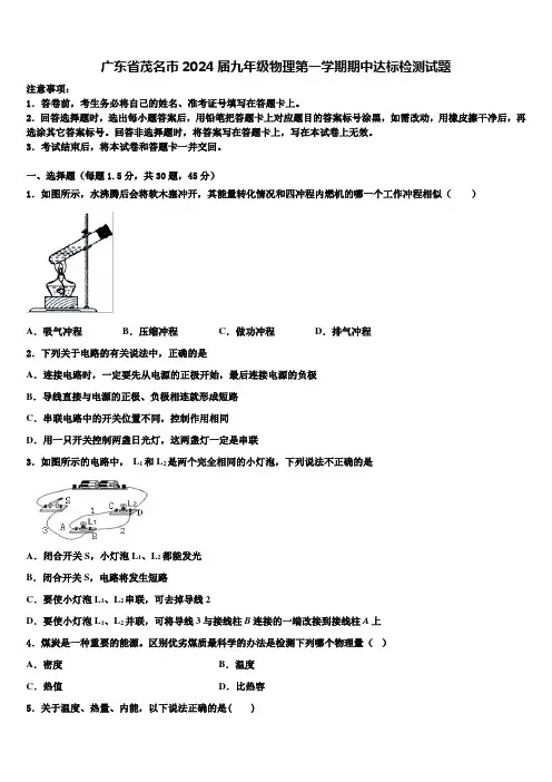 广东省茂名市2024届九年级物理第一学期期中达标检测试题含解析