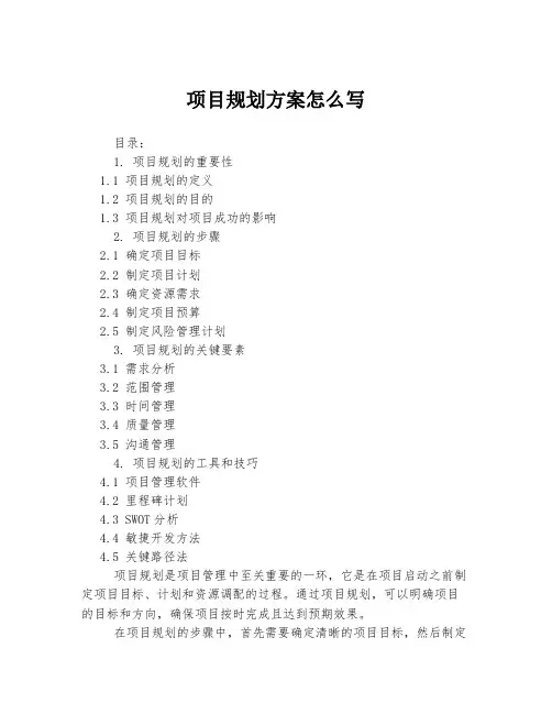 项目规划方案怎么写