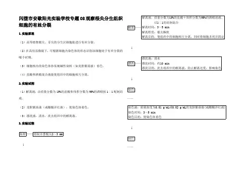 高考生物突破 观察根尖分生组织细胞的有丝分裂