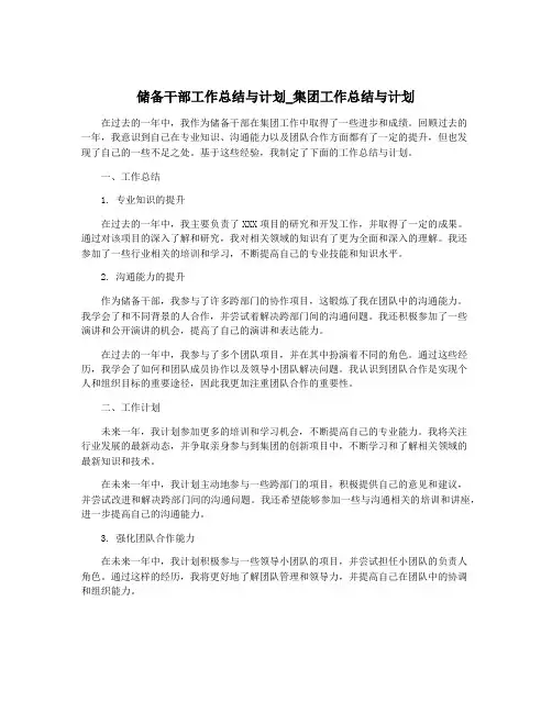 储备干部工作总结与计划_集团工作总结与计划