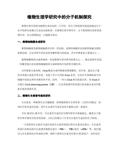 植物生理学研究中的分子机制探究