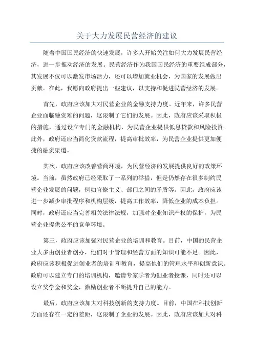 关于大力发展民营经济的建议