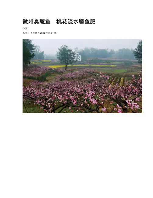  徽州臭鳜鱼　桃花流水鳜鱼肥