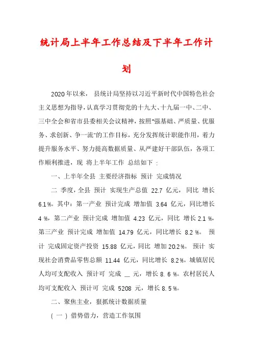 统计局上半年工作总结及下半年工作计划