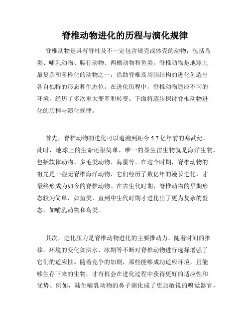 脊椎动物进化的历程与演化规律