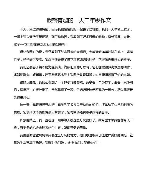 假期有趣的一天二年级作文