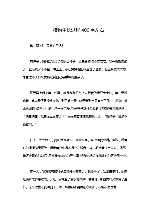 植物生长过程400字左右