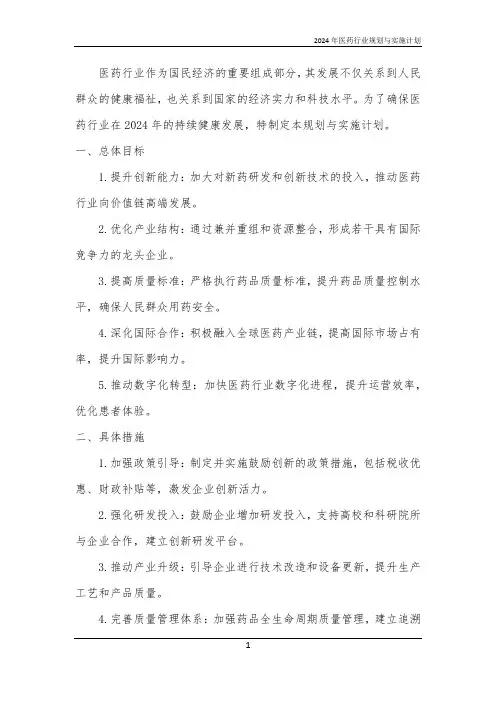 2024年医药行业规划与实施计划