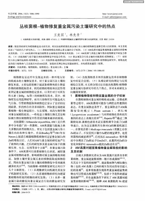 丛枝菌根-植物修复重金属污染土壤研究中的热点