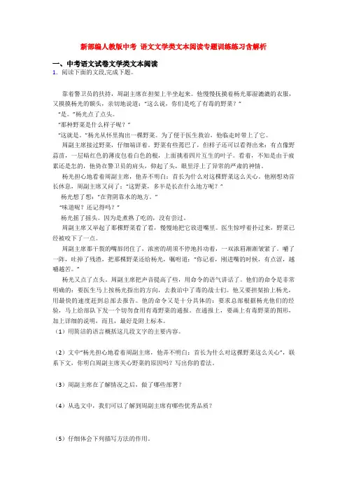 新部编人教版中考 语文文学类文本阅读专题训练练习含解析