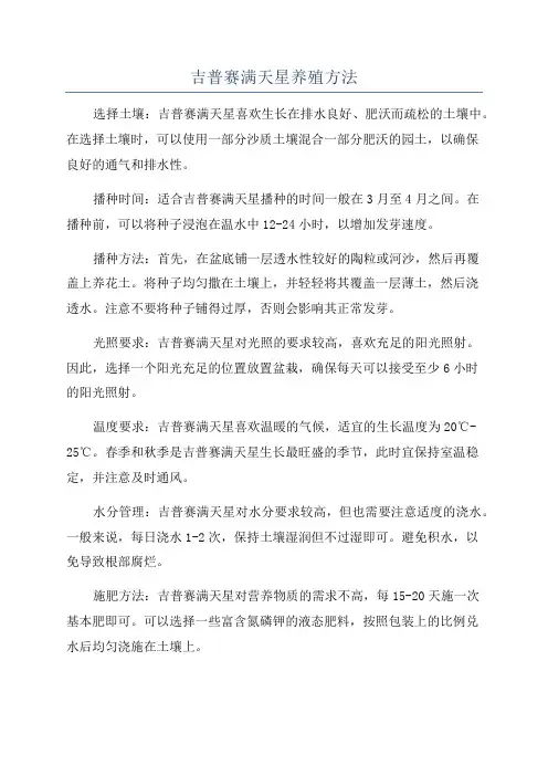 吉普赛满天星养殖方法