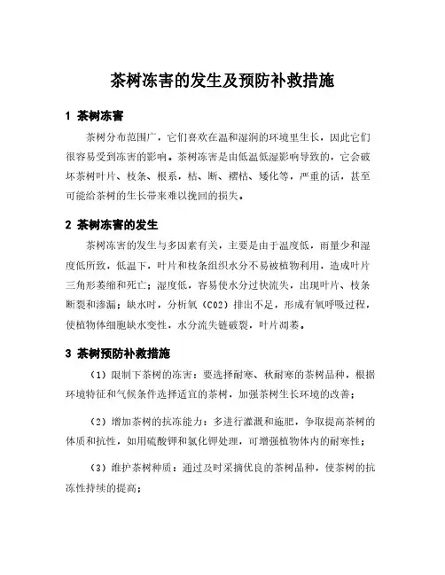 茶树冻害的发生及预防补救措施