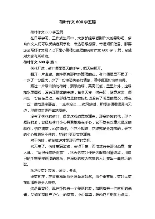 荷叶作文600字五篇