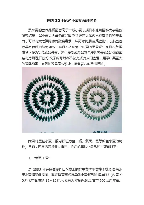 国内10个彩色小麦新品种简介