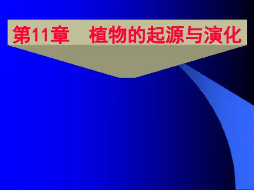 植物的起源与演化