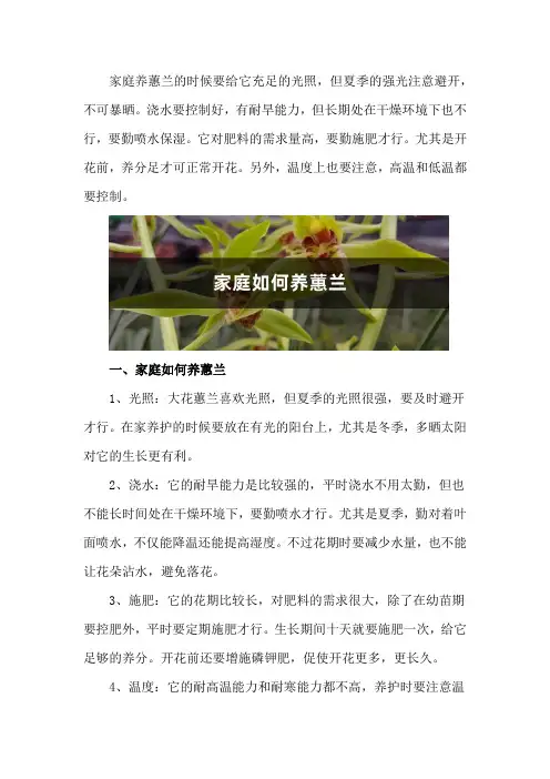 家庭如何养蕙兰,值得养的惠兰15个品种