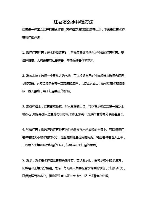 红薯怎么水种植方法