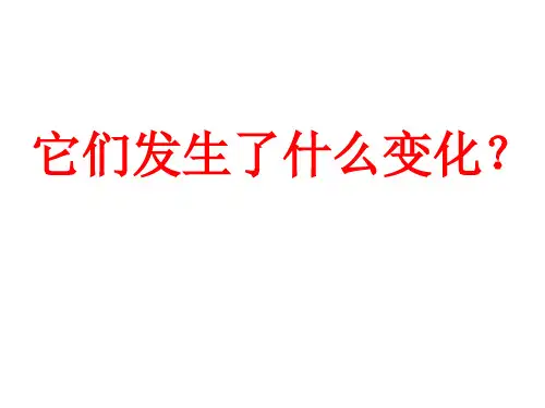 三年级上册科学课件1.8 它们发生了什么变化教科版 (共17张PPT)