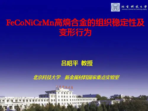 高熵合金PPT课件