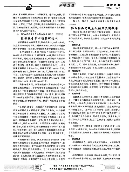 猕猴桃春季四项管理技术