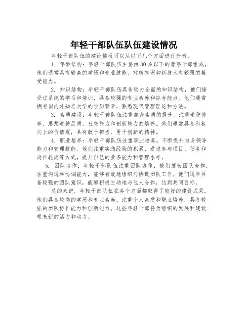 年轻干部队伍队伍建设情况