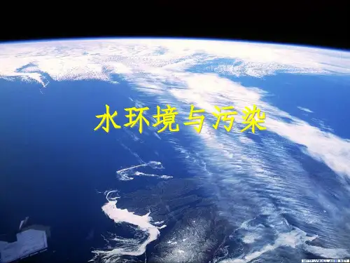 水环境污染PPT56页