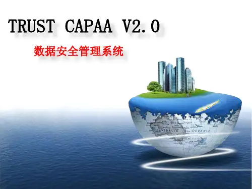 杭州美创CAPAA数据安全解决方案