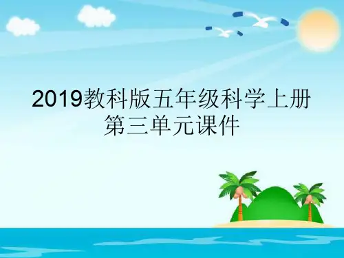 教科版五年级科学上册第三单元课件