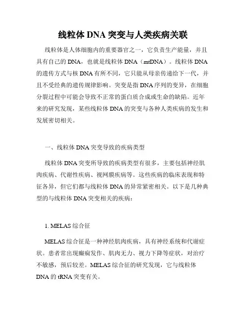 线粒体DNA突变与人类疾病关联