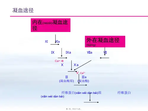 202X年抗凝药发展进程