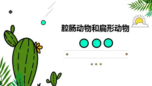 腔肠动物和扁形动物