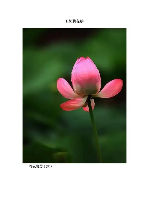 五势梅花桩