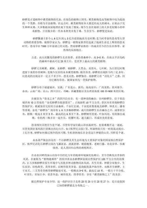 桫椤