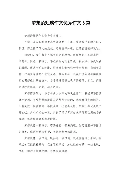 梦想的翅膀作文优秀作文5篇