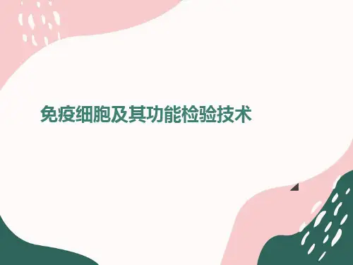 免疫学检验-免疫细胞及其功能检验技术