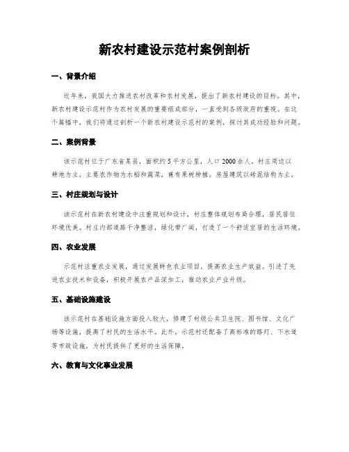 新农村建设示范村案例剖析