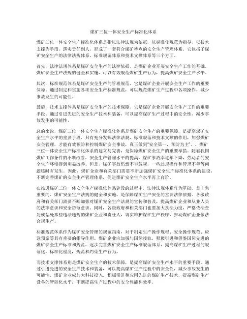 煤矿三位一体安全生产标准化体系
