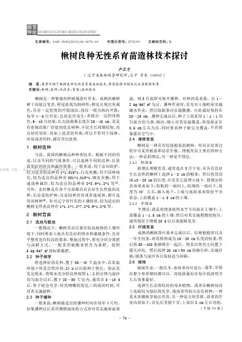 楸树良种无性系育苗造林技术探讨