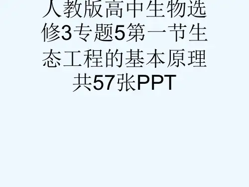 人教版高中生物选修3专题5第一节生态工程的基本原理共57张PPT[可修改版ppt]