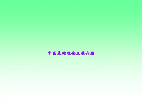 中医基础理论五脏六腑