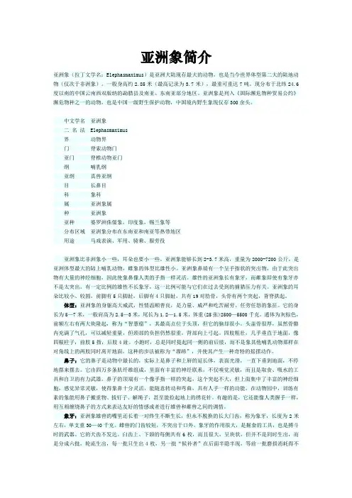亚洲象简介
