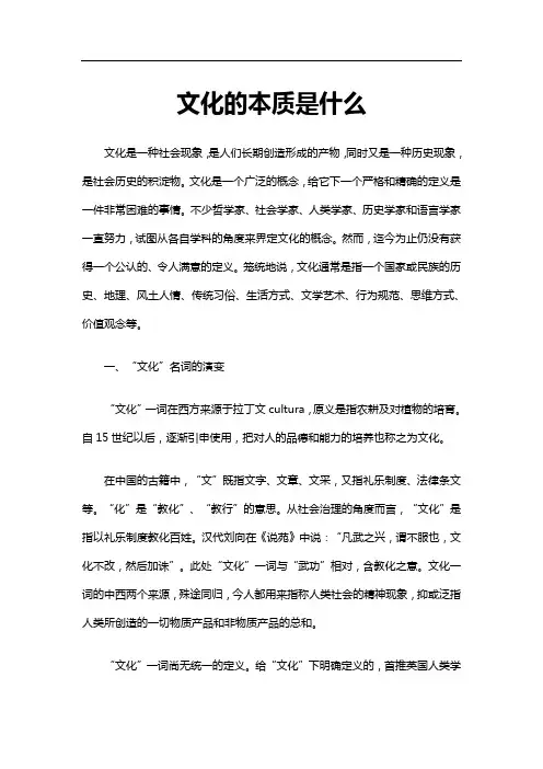 文化的本质是什么