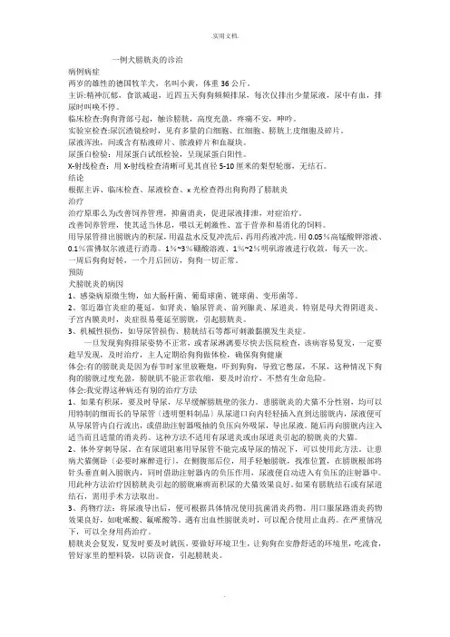 一例犬的膀胱炎诊治