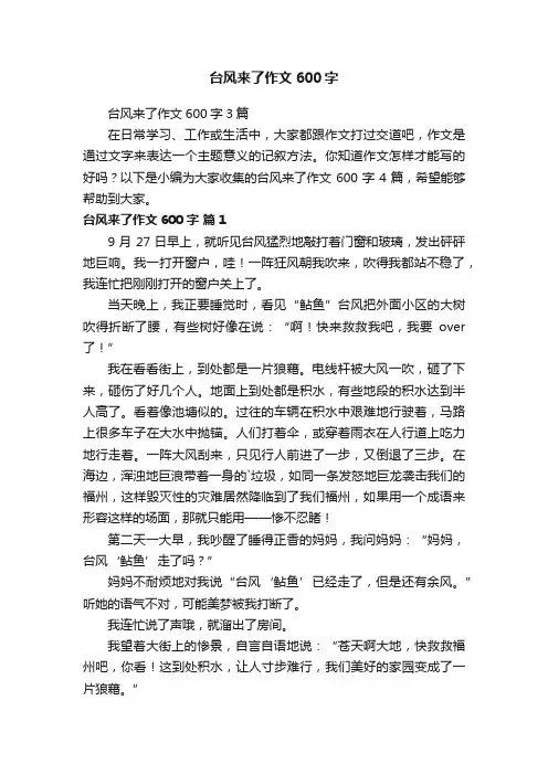 台风来了作文600字
