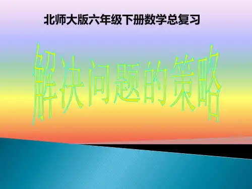 北师大版六年级下册数学总复习《解决问题的策略》PPT课件
