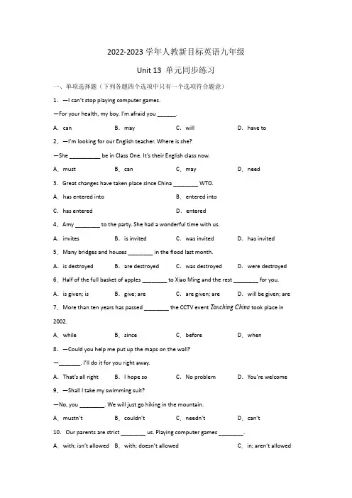 Unit 13单元同步练习 2022-2023学年人教新目标英语九年级全册(含答案)