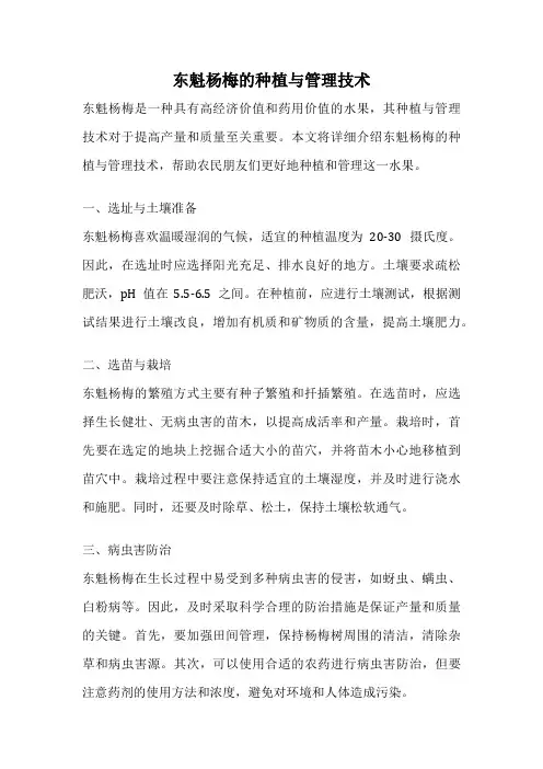 东魁杨梅的种植与管理技术