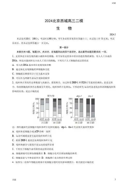 2024北京西城区高三二模生物试题及答案