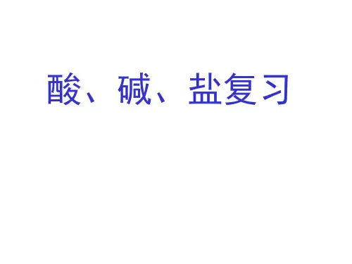 酸碱盐复习参考模板范本